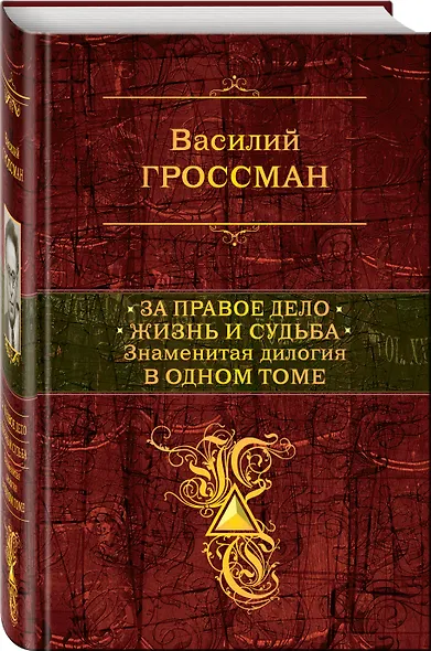 За правое дело.Жизнь и судьба - фото 3