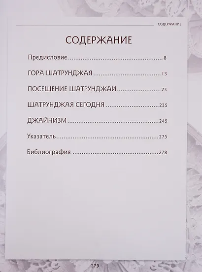 Храмы Шатрунджая - фото 2