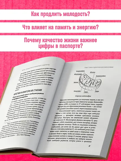 Годен до. Распаковка секретов молодости, которые отучат тело стареть - фото 9