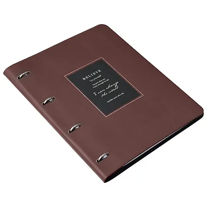 Тетрадь «Believe», А4, 120 листов в клетку, коричневая рамка, на кольцах, сменный блок - фото 2