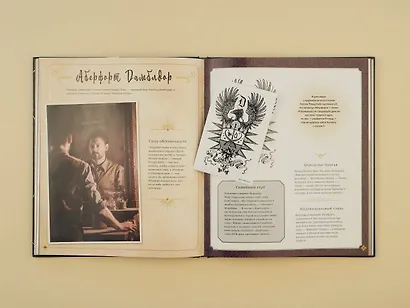 Фантастические твари: Тайны Дамблдора. Путеводитель по фильму - фото 7