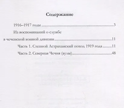 Чеченская конная дивизия - фото 2