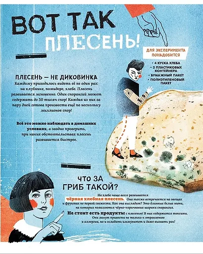 Грибы. Удивительные и малоизвестные факты из жизни грибов - фото 3