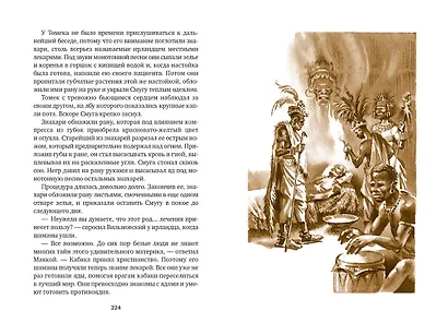 Томек на Черном континенте - фото 11