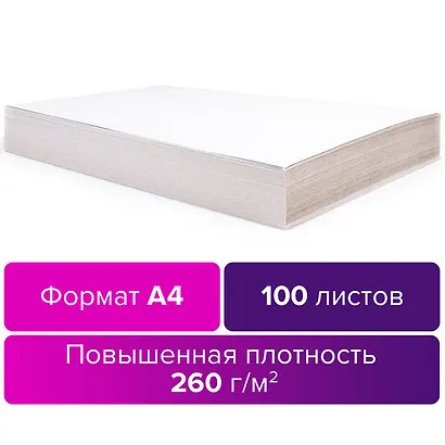 Картон для подшивки документов 100л А4, немелованный, 260г/м2 - фото 4