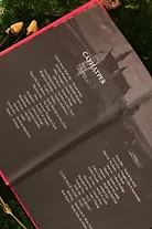 Мой тёмный принц - фото 14