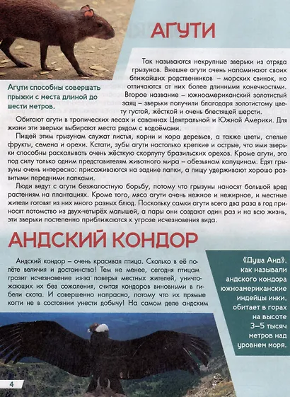 Животный мр от  А до Я лучшая детская энциклопедия - фото 5