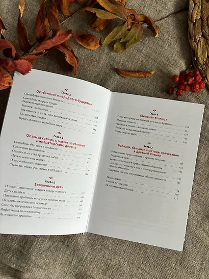 Темная сторона средневековой Японии. Оммёдзи, мстительные духи и жрицы любви - фото 10