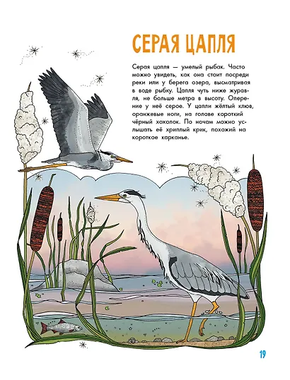 Птицы - фото 7