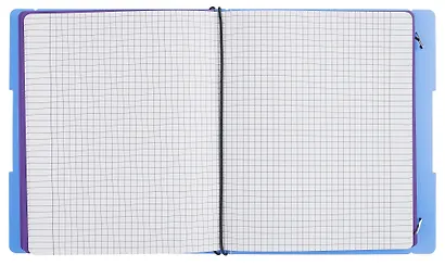 Тетрадь 96 листов, клетка/линейка, "DoubleBook. Васильковый" - фото 4