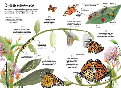 Большая книга о природе в картинках - фото 6