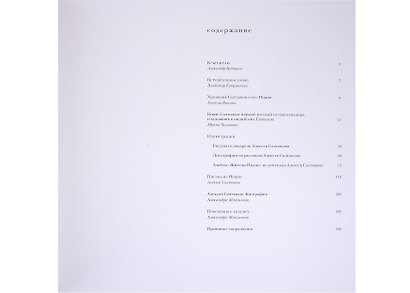 Путешествия по Индии князя Алексея Салтыкова - фото 2