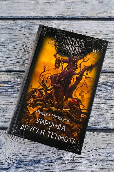 Уиронда. Другая темнота - фото 5