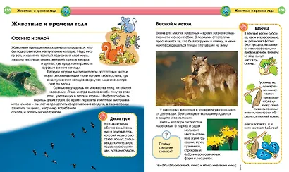 Современная детская энциклопедия - фото 4
