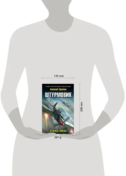 Штурмовик. Крылья войны - фото 4