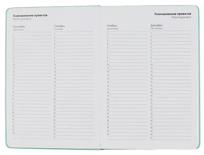 Ежедневник недат. А5 128л "SYNONIMS" 4, иск.кожа 7Б, тв.переплет, поролон, скругл.углы, офсет - фото 5