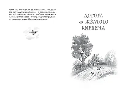 Волшебник Изумрудного города - фото 13