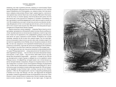 Холодный дом - фото 8