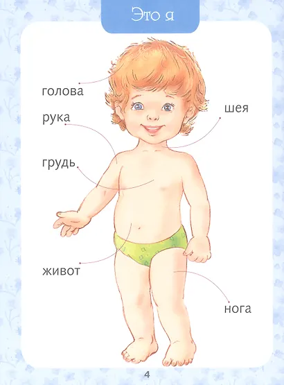 Первая книга малыша. Энциклопедия от 6 месяцев и старше - фото 6