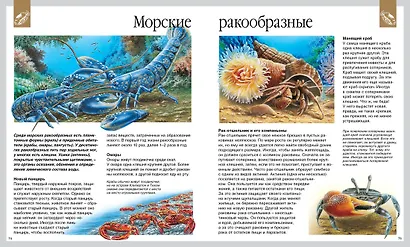 Мир моря - фото 5