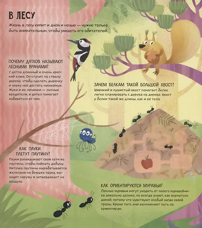 Энциклопедия почемучки. Книжка с окошками. Животные мира - фото 2