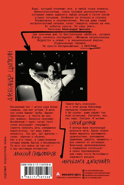 БеспринцЫпное матерное, или Трагическое недоразумение - фото 2