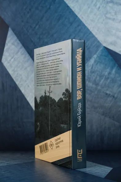 Вор, шпион и убийца - фото 6