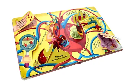 Волшебные окошки. Моё тело - фото 3