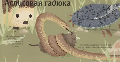 Животные снаружи и внутри - фото 4