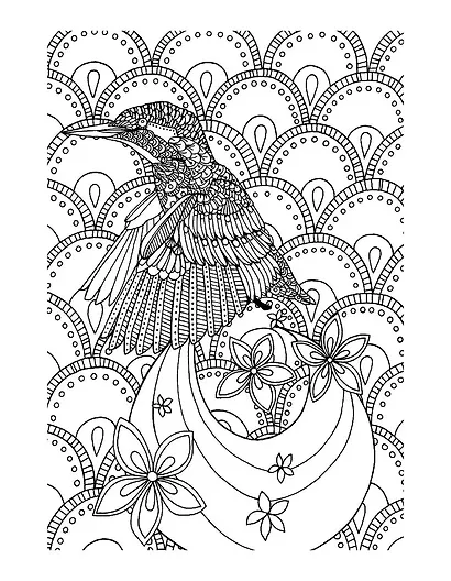 Узоры. Яркий мир природы - фото 6