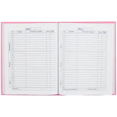 Дневник для средних и старших классов Феникс+, "Котики в серебре" - фото 2