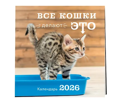 Все кошки делают это. Календарь настенный на 2026 год (300х300) - фото 2