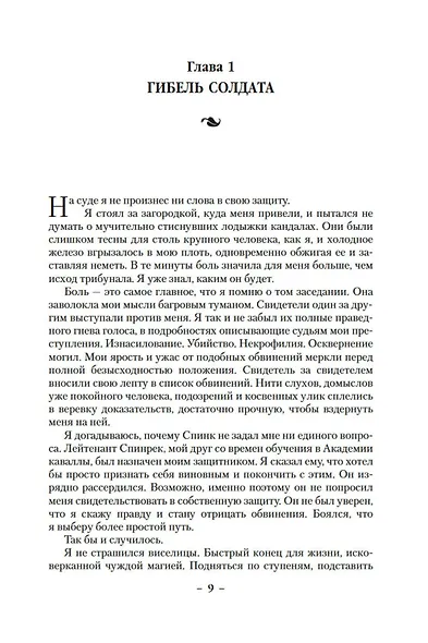 Сын солдата. Книга 3. Магия отступника - фото 11