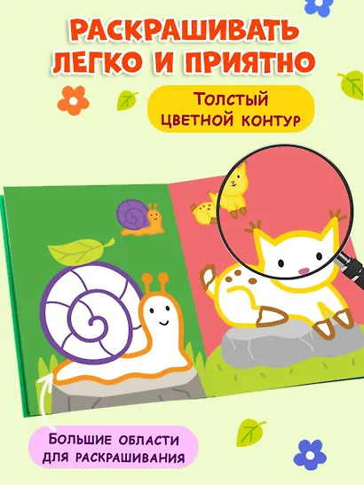 Раскраска с цветным контуром (Улитка) - фото 5