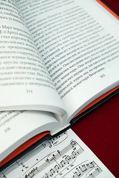 Осуждение Паганини - фото 13