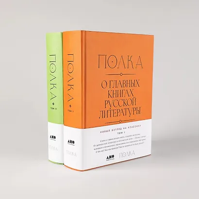 [2 тома] Полка: О главных книгах русской литературы - фото 12