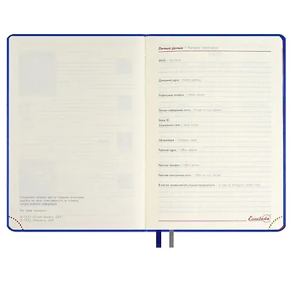 Ежедневник дат. 2025г. А6+ 176л 126х174 "Тиволи глосс" синий, кожзам, тв.переплет, блинт.тиснение, вырубка, офсет, ляссе - фото 6