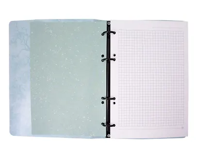 Тетрадь  120 листов, клетка, "Floreale. Smoky Sky" на кольцах - фото 2