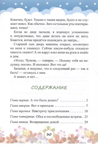 Кот Чупа-Чупс едет в гости - фото 5