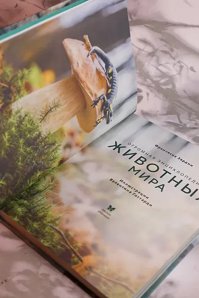 Огромная энциклопедия животных мира - фото 11
