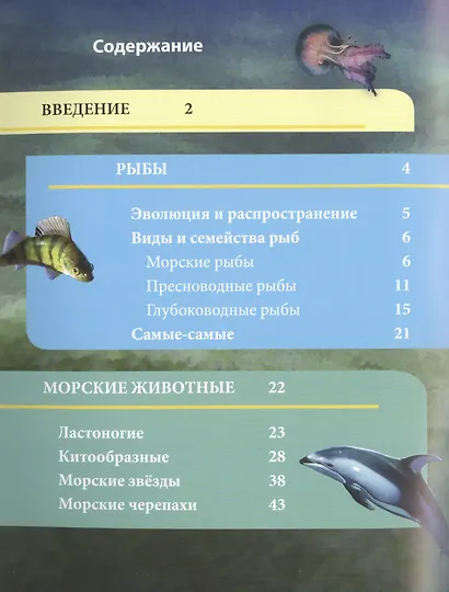 Подводный мир - фото 2