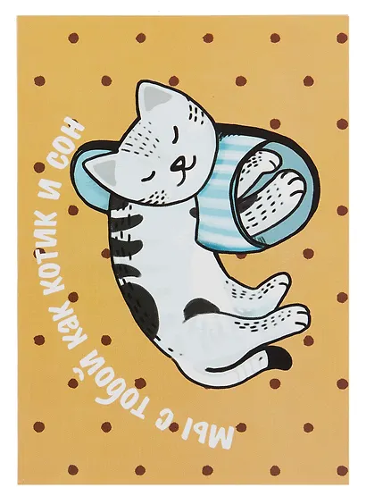 Открытка двойная "Коты. Котик и сон" - фото 1