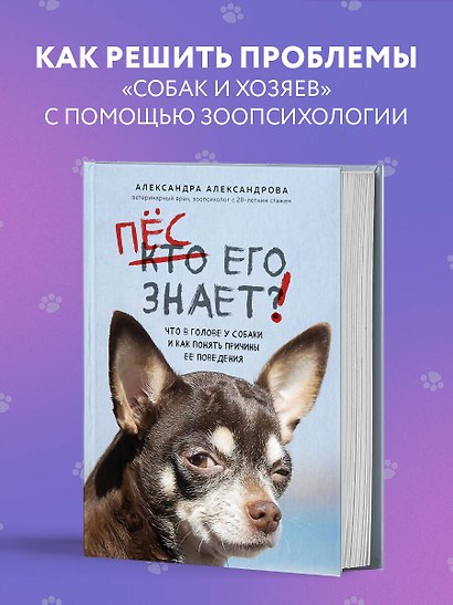 Пес его знает! Что в голове у собаки, и как понять причины ее поведения - фото 4