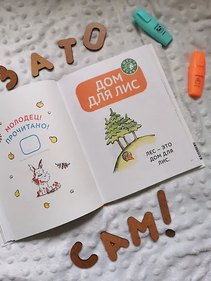 Зато сам! Рассказы для первого чтения. Книга 2 - фото 13