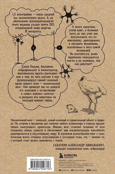 Автостопом по мозгу. Когда вся вселенная у тебя в голове - фото 2