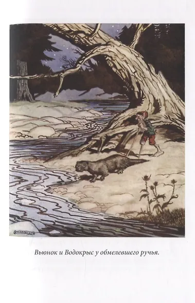 Вверх по Причуди и обратно. Вниз по Причуди (комплект из 2 книг) - фото 10