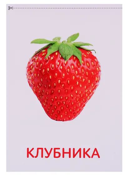 Набор обучающих книг по методике Г. Домана "Окружающий мир" (комплект из 8 книг) - фото 5