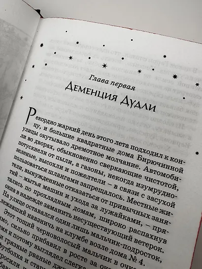 Гарри Поттер и Орден Феникса (Гриффиндор) - фото 9
