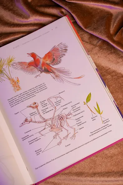 Бестиарий китайской мифологии. Книга гор и морей. С дополненной реальностью - фото 8