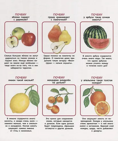 Мои первые ПОЧЕМУ? / Е. Колузаева. - 2019, М. : Стрекоза. - (Энциклопедия малыша). - ISBN 978-5-9951-3865-5 (7Б) - фото 5